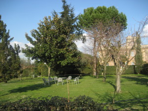 giardino (12)